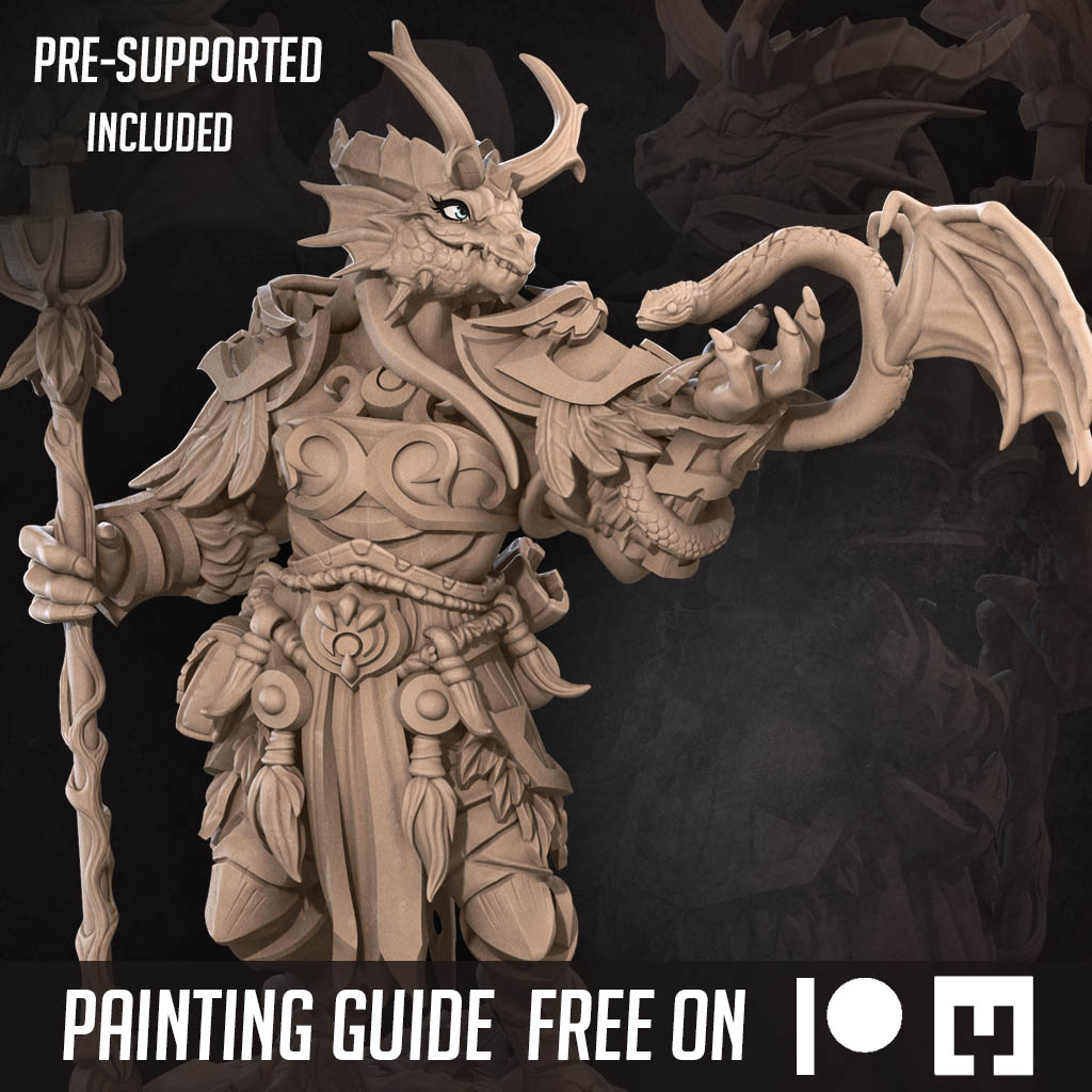 Dragonborn Druid